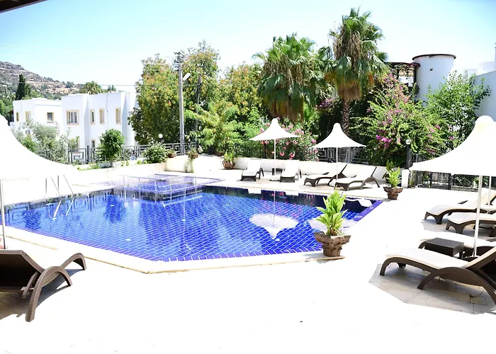 Le Chance & Bodrum